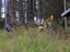 Ojankaivaja työssään + mökki-isäntä Reijo valvomassa